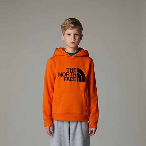 The North Face hoodie junior