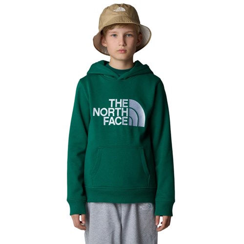 The North Face Drew Peak hoodie